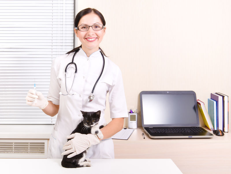 兽医给小猫接种疫苗
