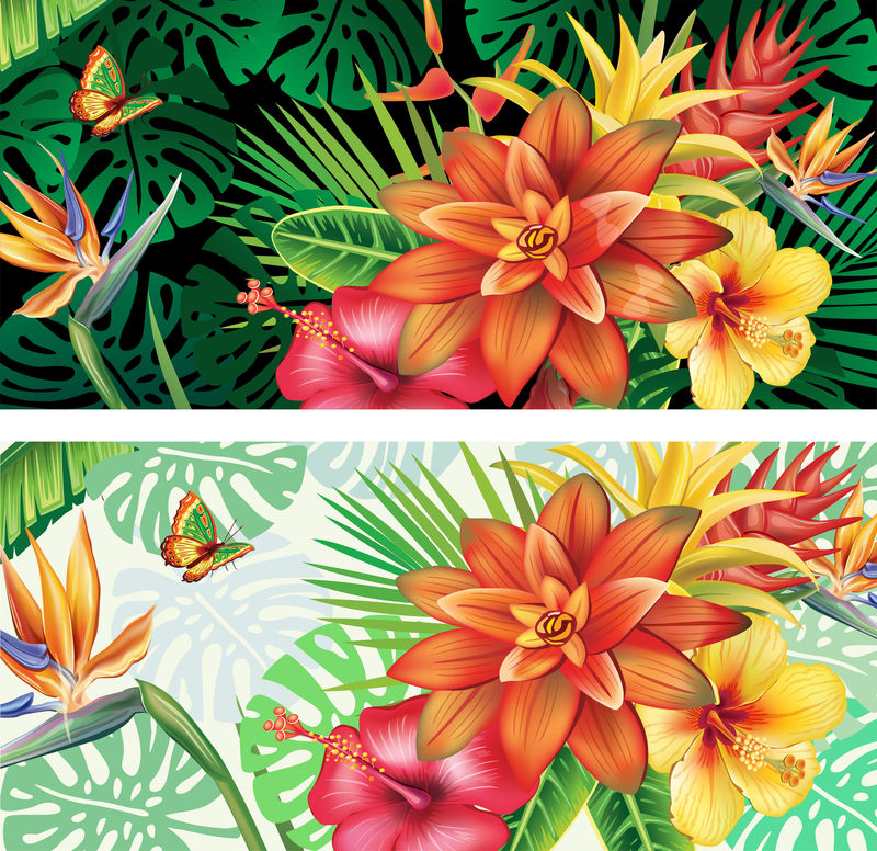 热带植物和花卉卡片