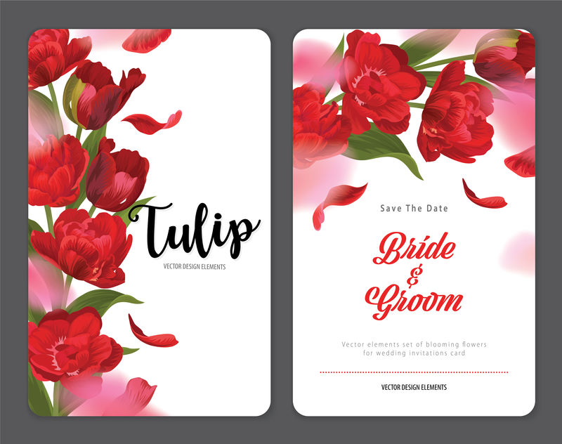 盛开美丽的红色郁金香花背景模板-婚礼请柬、贺卡、代金券、宣传册和横幅设计用鲜花矢量集
