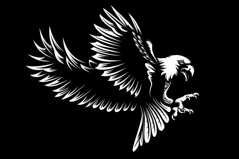独立于白色矢量图上的鹰徽-世界的象征-猎鹰的复古彩色标志-Eagle详细标志