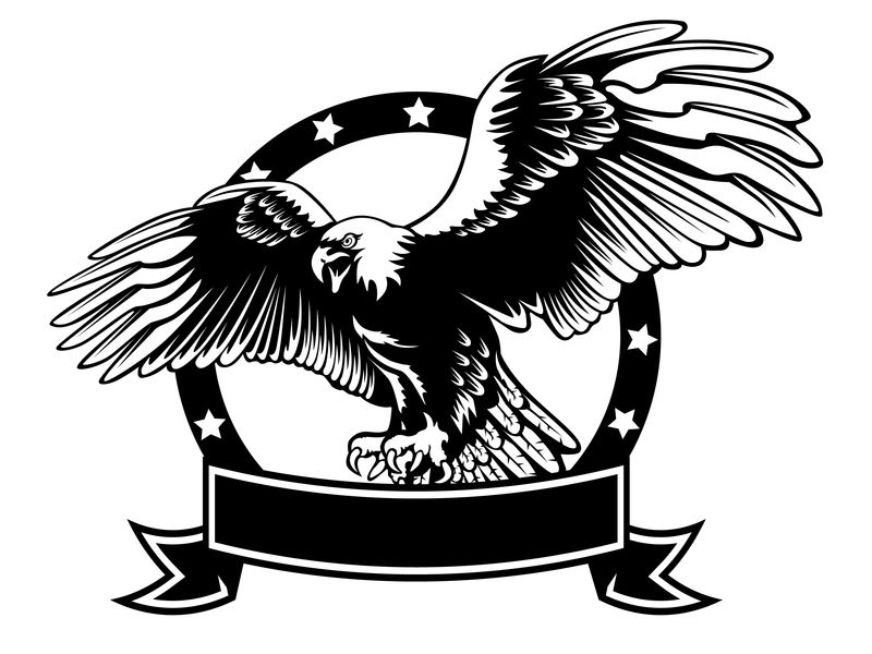 独立于白色插图上的鹰徽-美国鹰-象征和独立的鸟-猎鹰的复古彩色标志