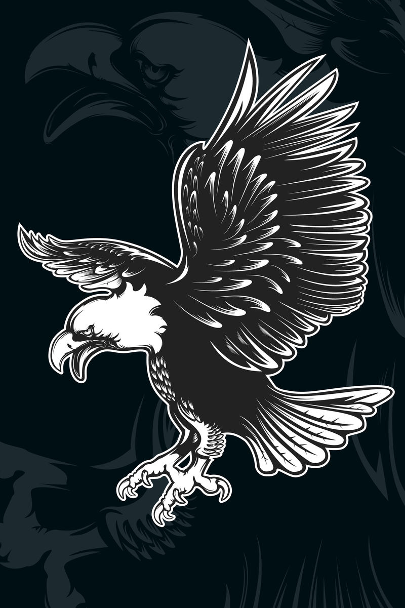 独立于白色矢量图上的鹰徽-世界的象征-猎鹰的复古彩色标志-Eagle详细标志