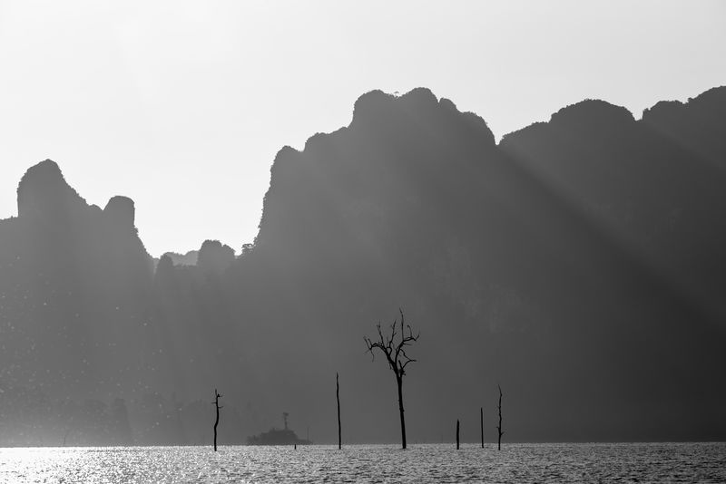 这幅画很抽象-它给人一种死亡或生存的感觉-大自然的美丽隐藏着许多含义