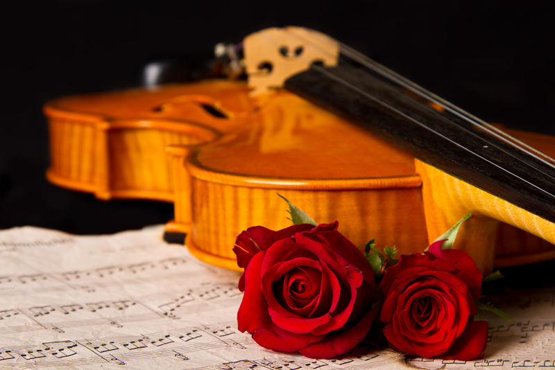 小提琴乐谱与玫瑰黑色合成静物音乐