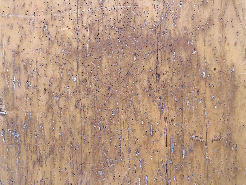 有树皮甲虫痕迹的旧木板