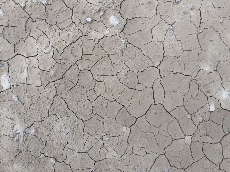 旱季干裂土的质地和背景（灰度）