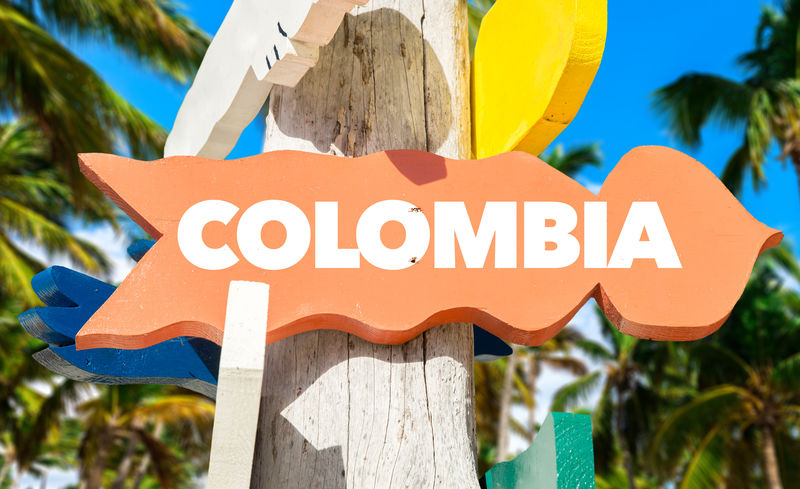 哥伦比亚棕榈树路标