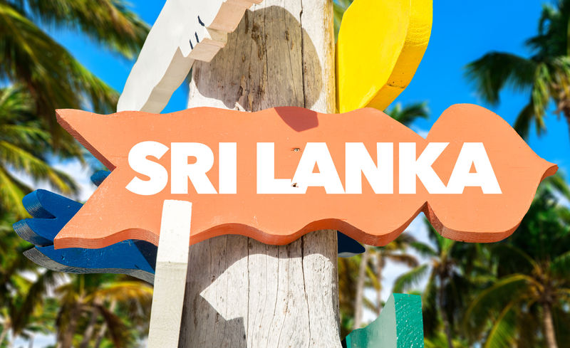 斯里兰卡棕榈树欢迎标志
