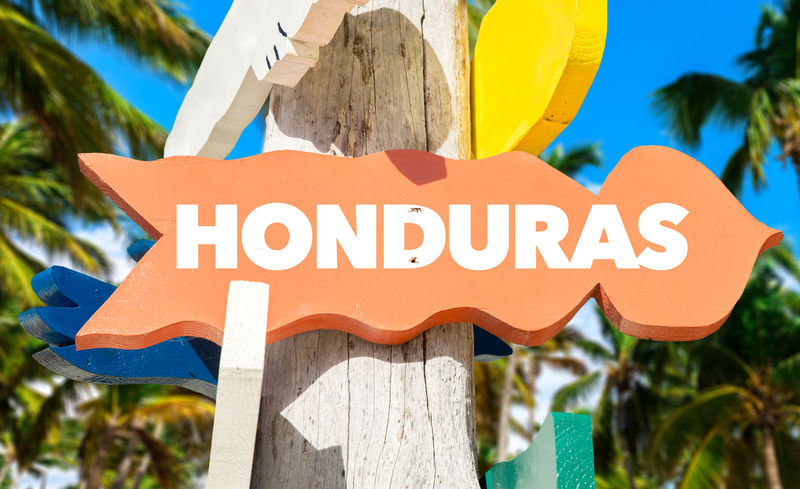 洪都拉斯棕榈树欢迎标志