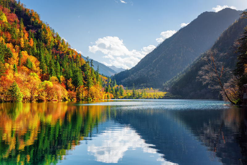 大熊猫湖的美景。秋天的树林倒映在水中