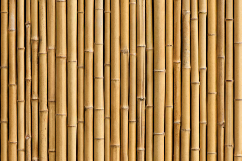 竹篱笆的背景