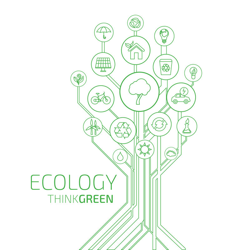 生态信息图。绿色思维