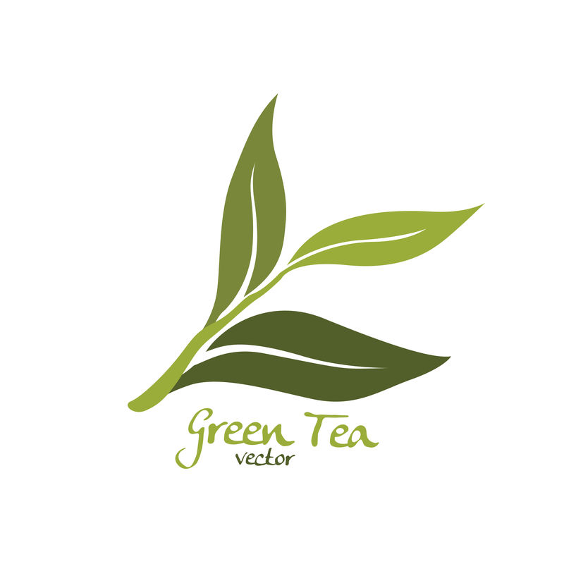 矢量绿茶