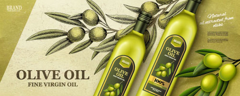 矢量橄榄油海报设计