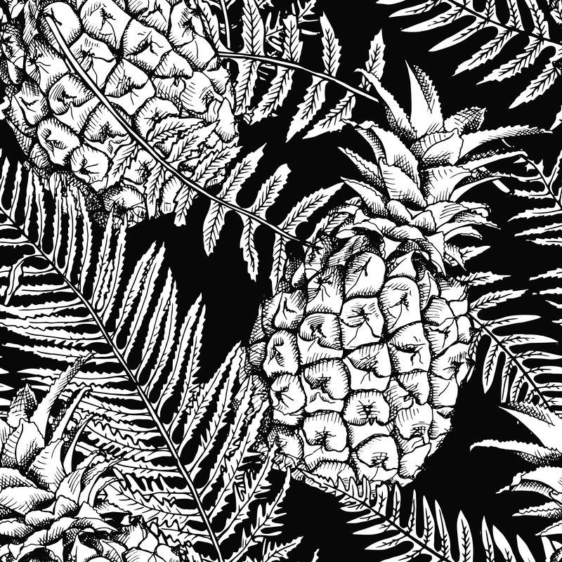 菠萝和蕨类植物叶子的无缝图案-矢量黑白插图