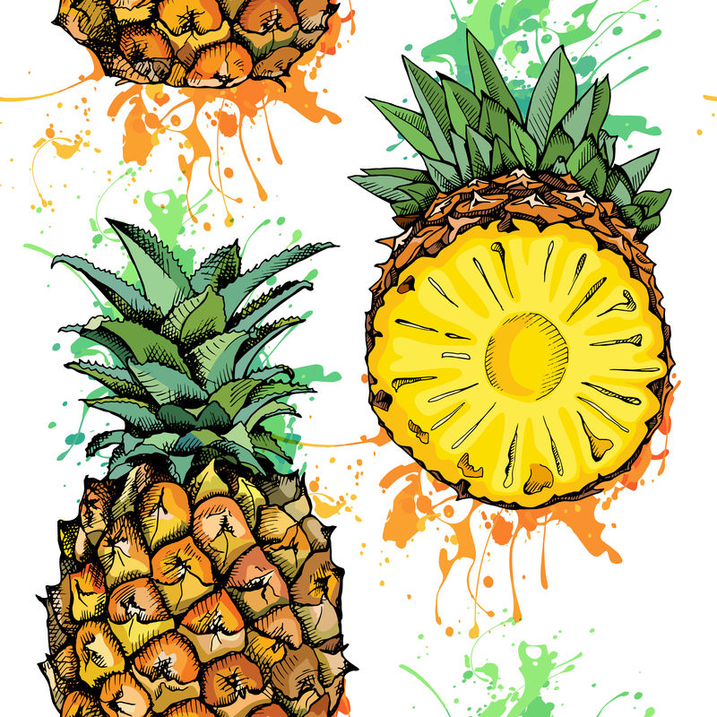 无缝图案与菠萝果的彩色图像-矢量图解