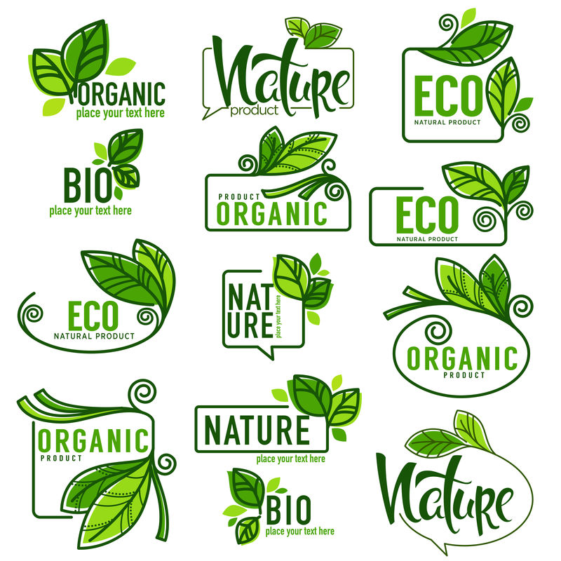 涂鸦生态、生物、自然和有机树叶和植物的大型矢量集合标志、元素、框架和标志