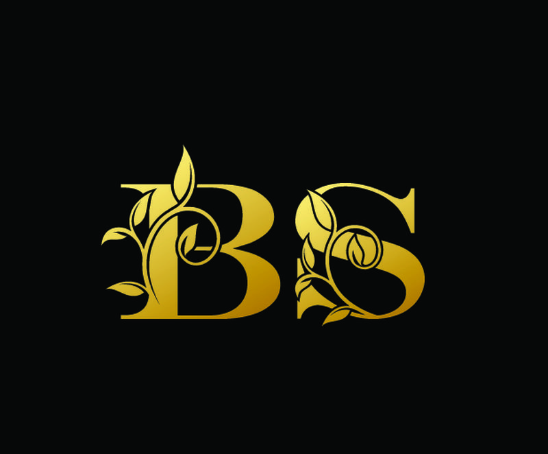 金色字母B和S-B-豪华字母标志图标