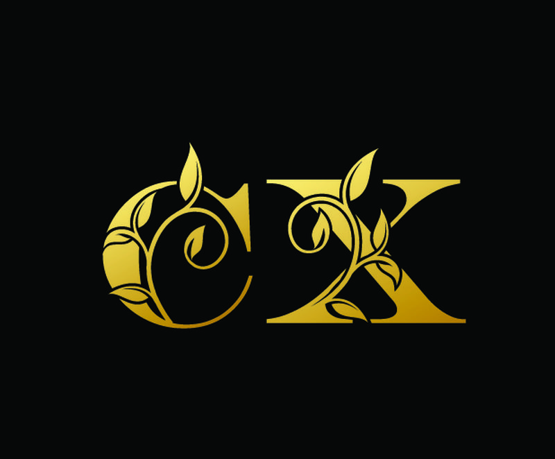 金色字母C和X-CX-豪华字母标志图标