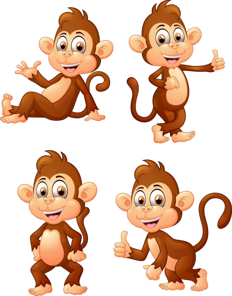 猴子许多表情的图解