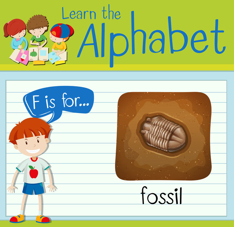 抽认卡字母F代表化石
