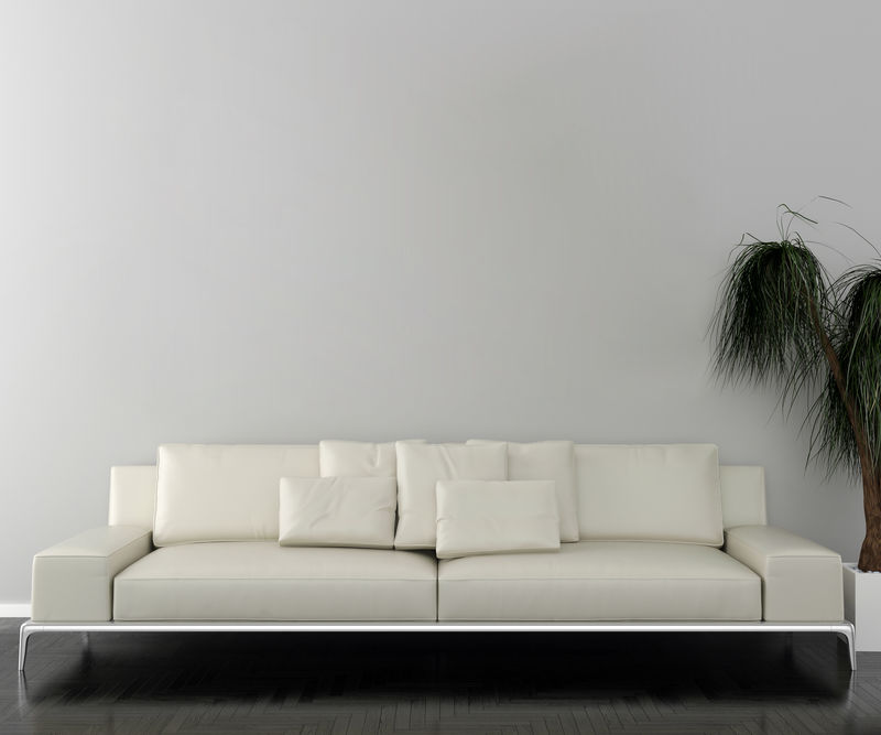 带室内植物的空白相框和沙发。