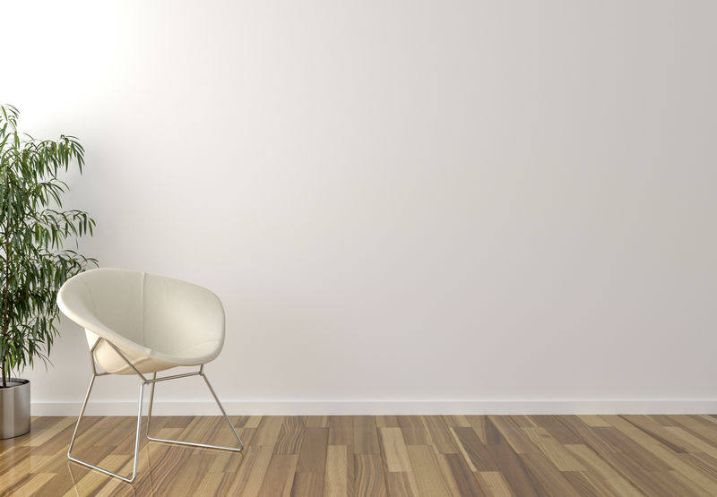 独白椅子，室内植物和背景空白墙