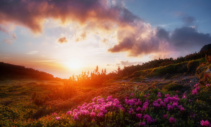 令人敬畏的高山山谷在温暖的夕阳下。