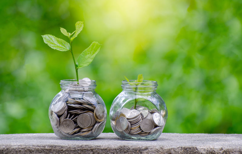 从玻璃罐外的硬币生长出的硬币树玻璃罐植物在模糊的绿色自然背景下省钱投资理财理念