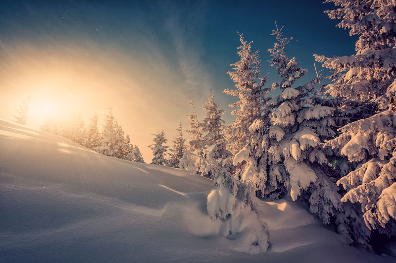 奇妙的冬季景观-阿尔卑斯山冬季森林中壮丽的日落-阳光在雪地里闪闪发光-粉红色夕阳下阳光下童话森林的风景图片-圣诞节背景