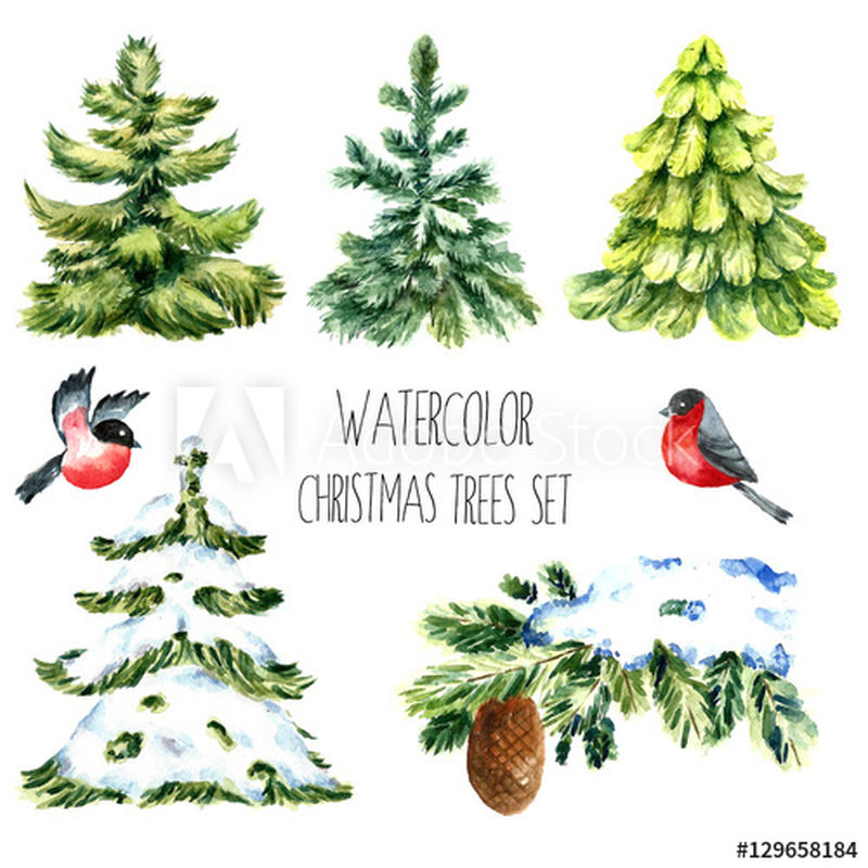水彩画圣诞树-孤零零的松树-冬天的树枝-牛翅插图