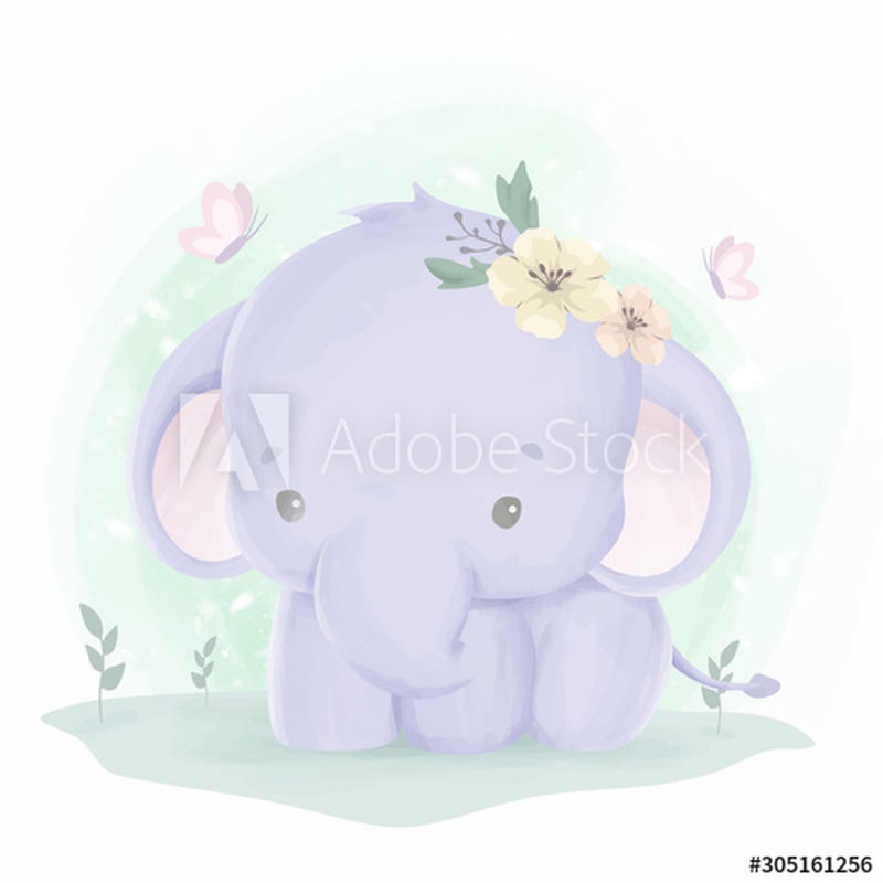 可爱的小象在草地上玩耍