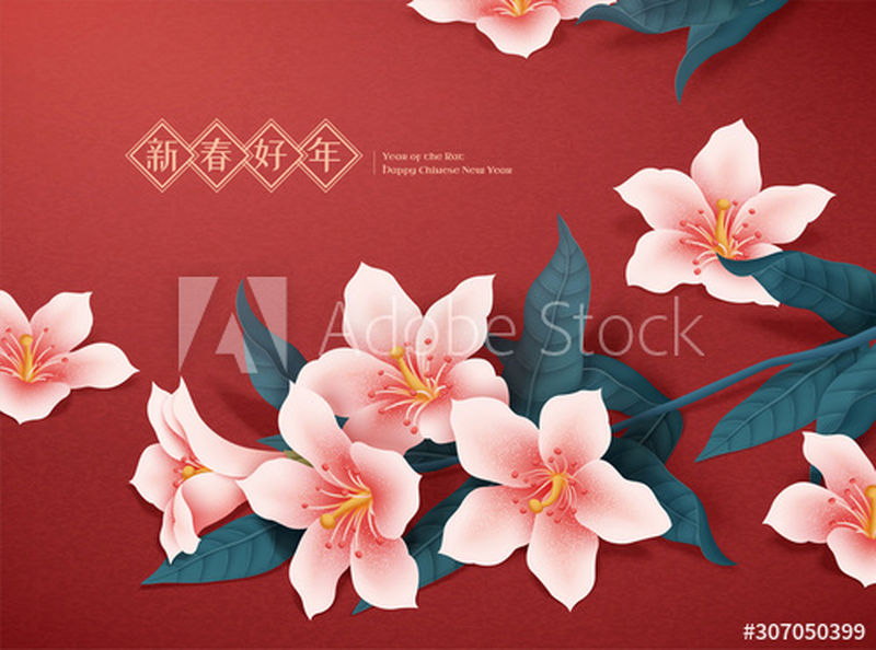 红色背景粉红百合和树叶的农历新年插画-用中文书写新年快乐