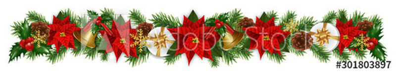 圣诞和新年边界装饰花环与冷杉枝-金钟-圣诞花一品红-冬青浆果和礼品盒-白色背景的圣诞卡设计元素-矢量