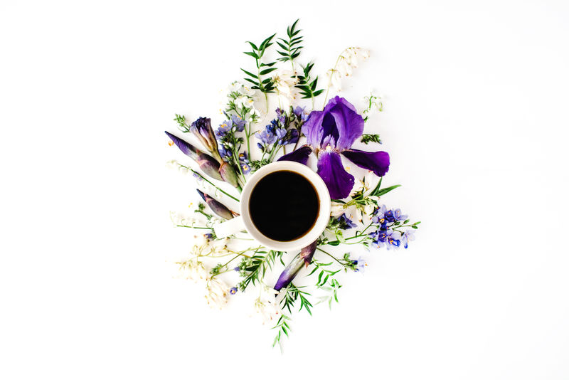 紫色花咖啡杯