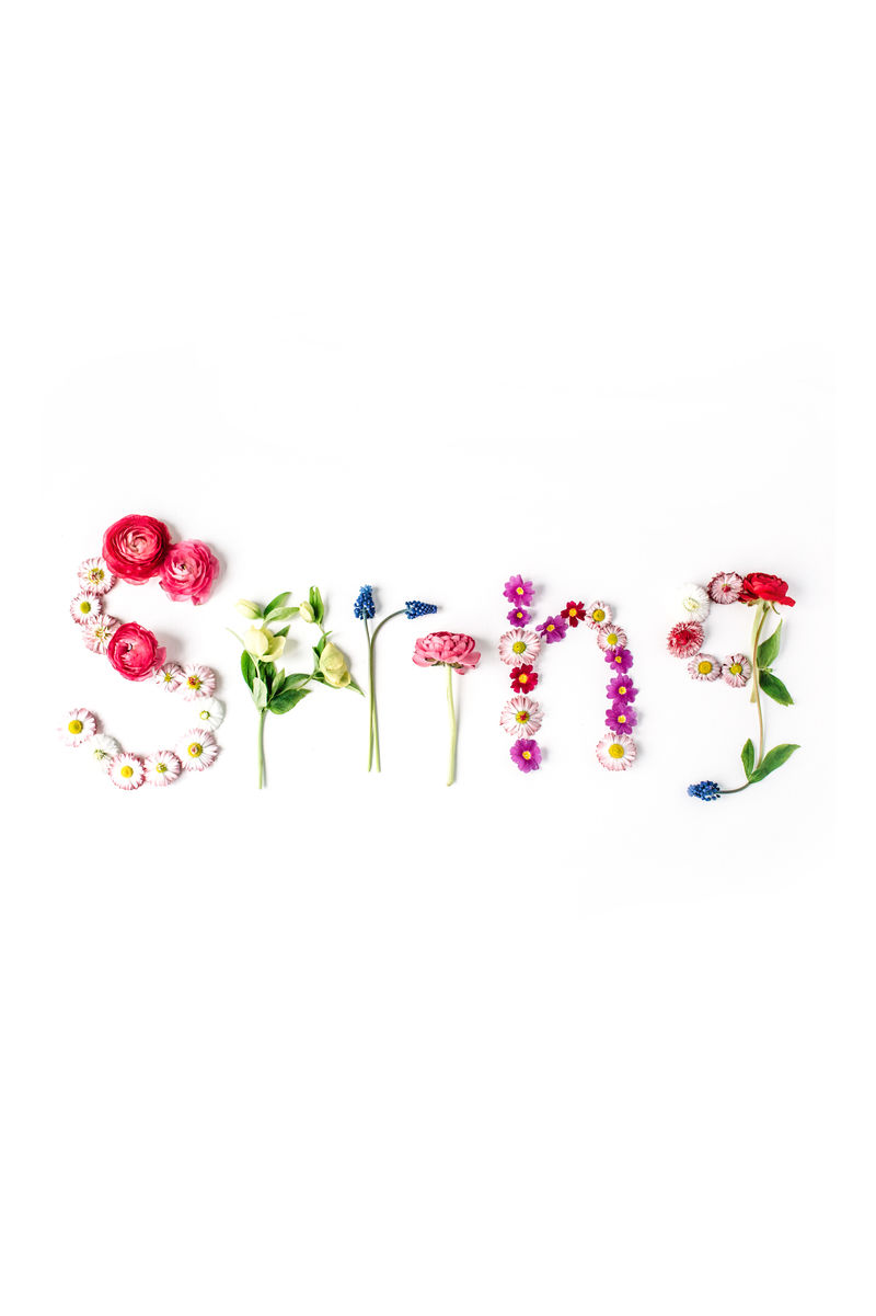 白色背景上的花拼出的单词spring