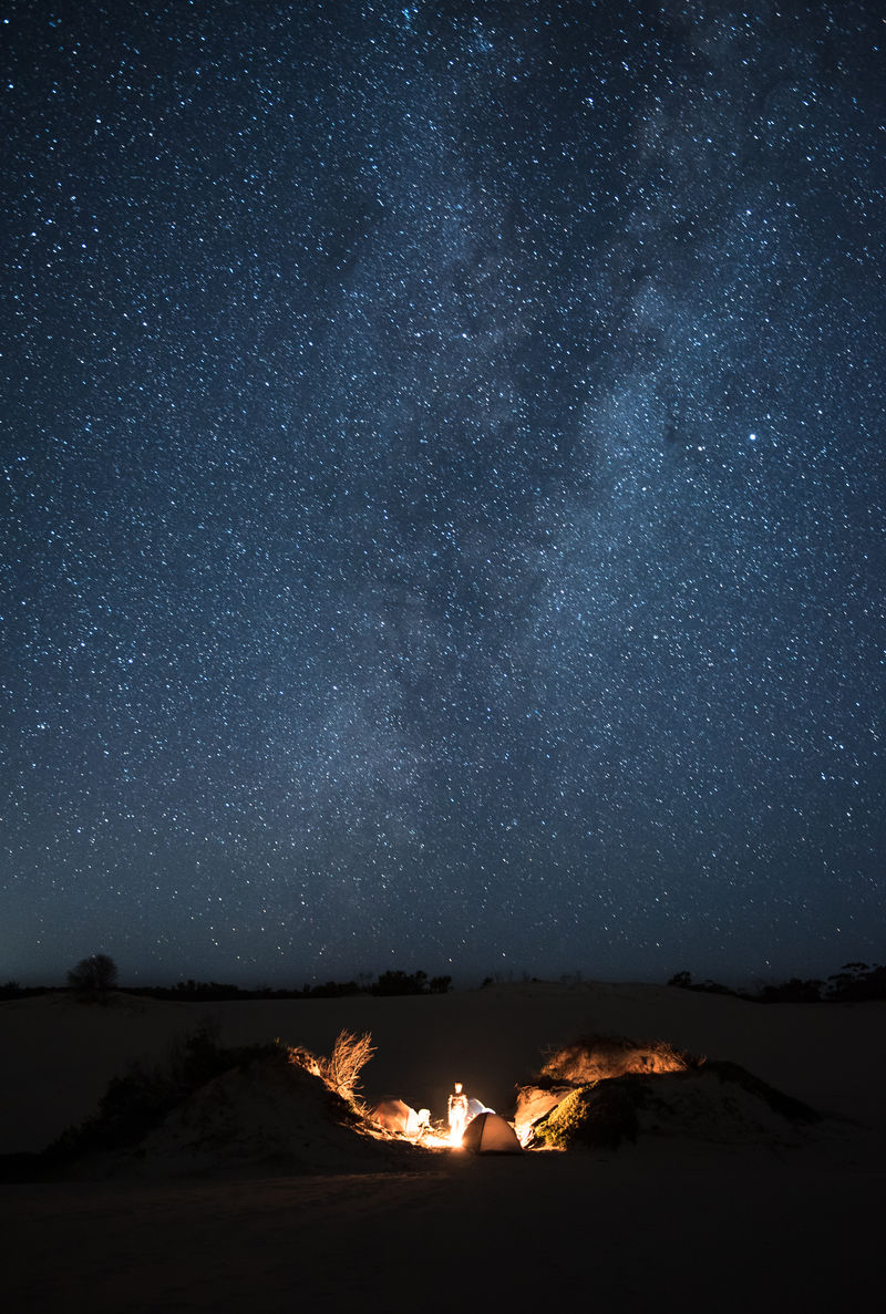 星空下树间篝火