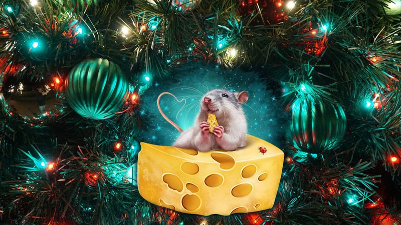 吃着奶酪的圣诞鼠