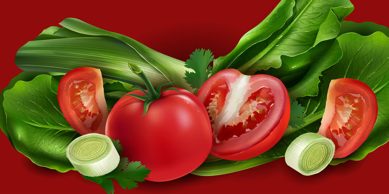 西红柿、洋葱和生菜