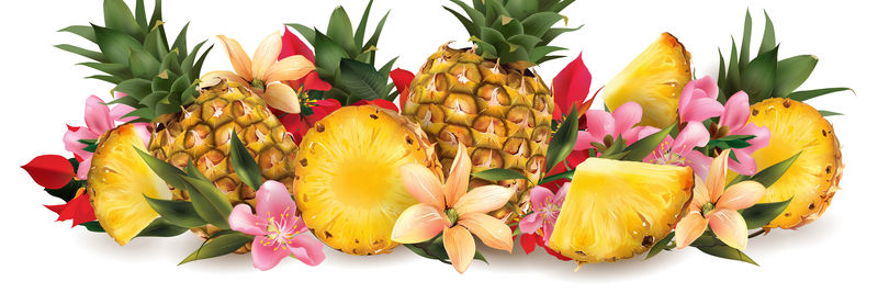 菠萝和热带花卉