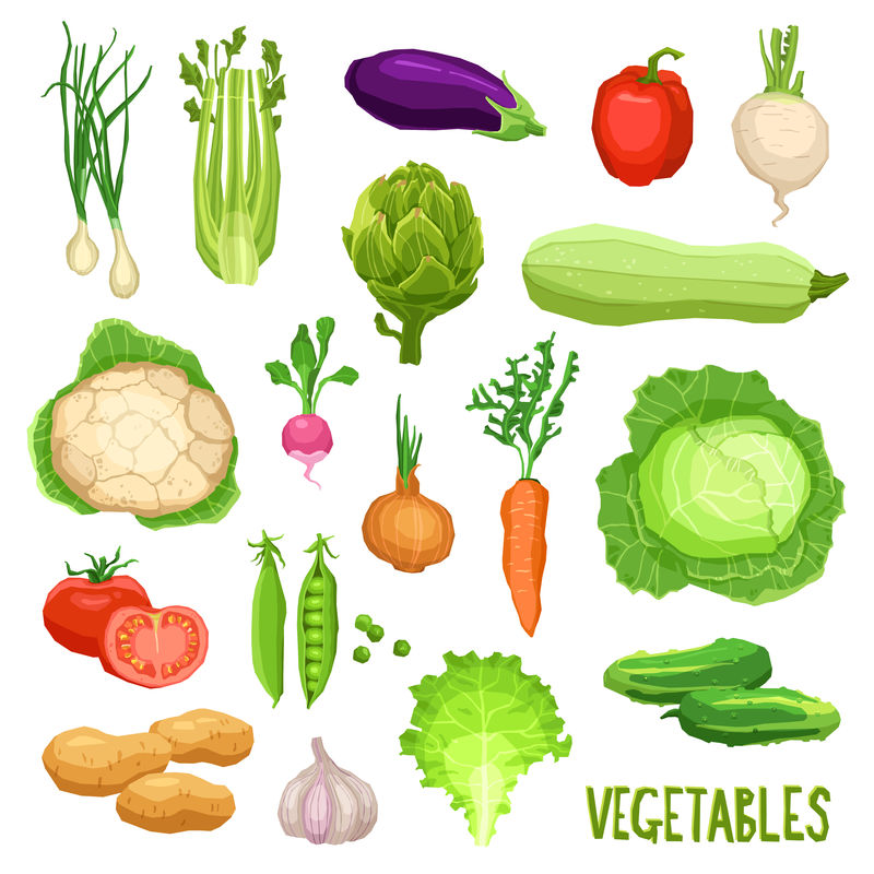 一套新鲜蔬菜-健康有机食品收藏
