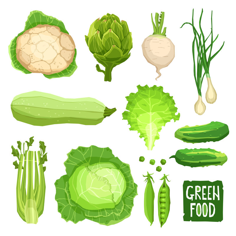 一套新鲜的绿色蔬菜-健康和有机食品-包括花椰菜、卷心菜、洋蓟、洋葱、大蒜、沙拉、南瓜、黄瓜和芹菜