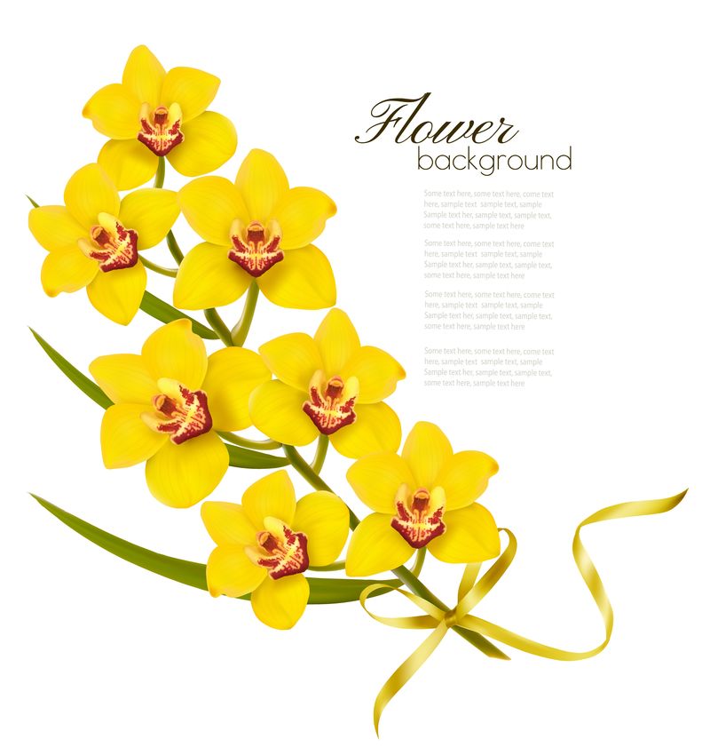 以黄色兰花和金色丝带为背景的节日花卉。