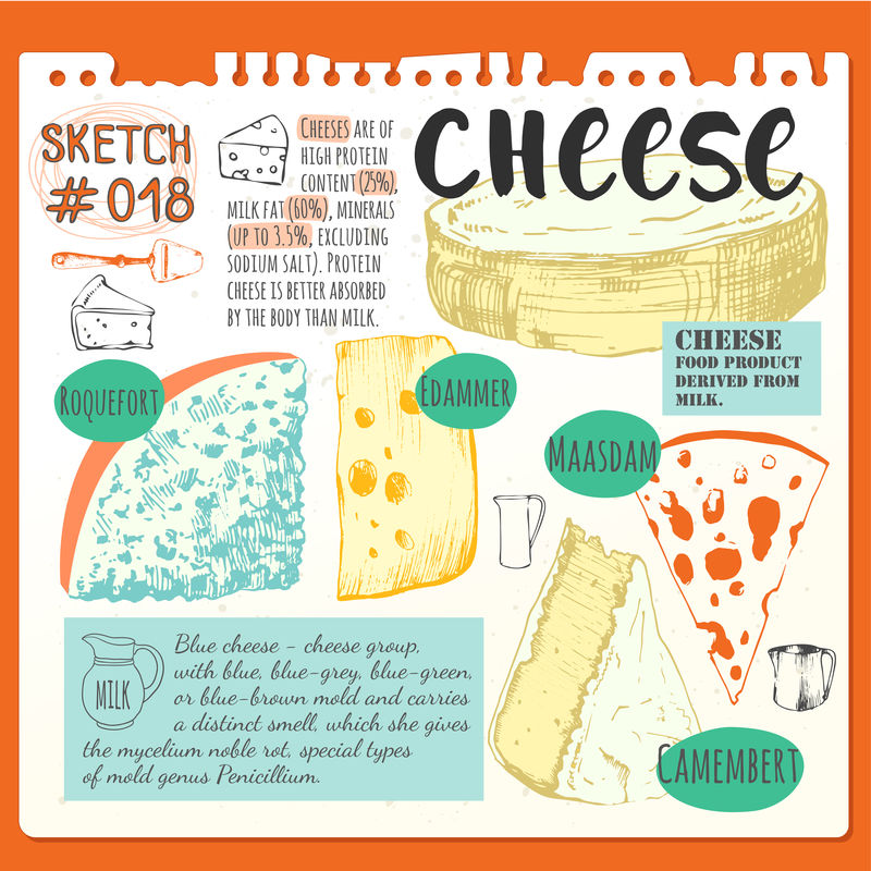 食物速写本，有一套不同的高贵奶酪。