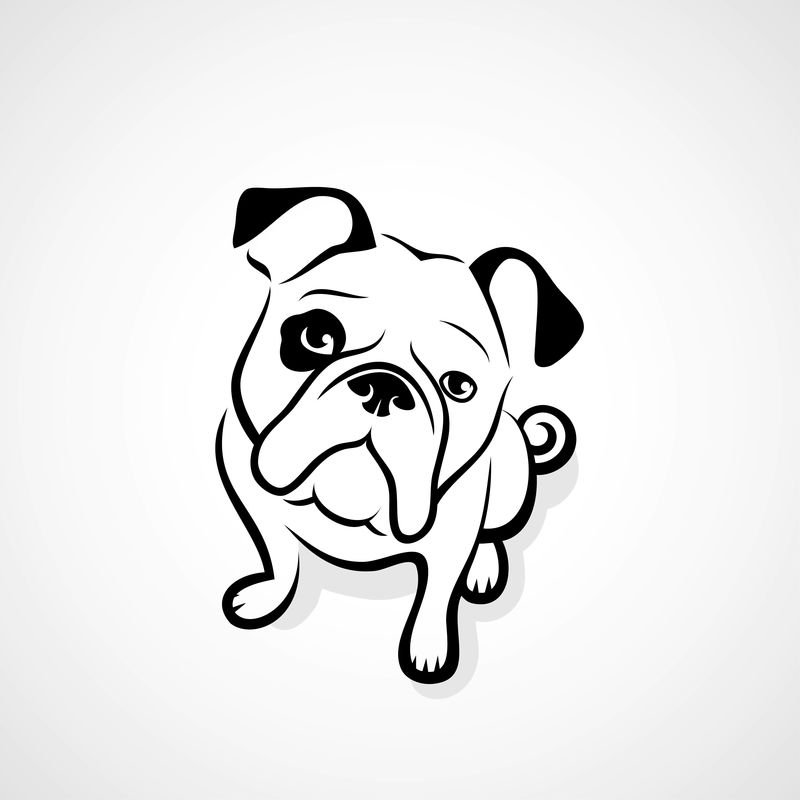 牛头犬-矢量图