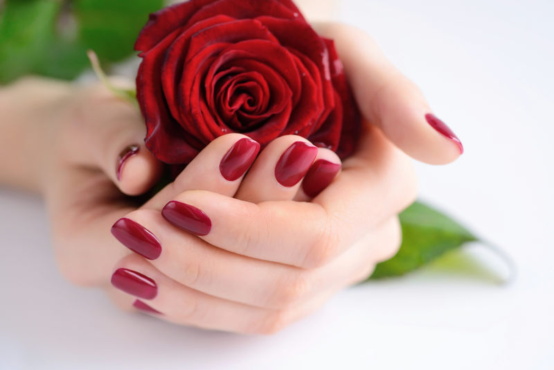 一个女人的手上有着深红色的指甲和红玫瑰