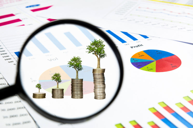 放大镜看到树木生长在硬币上-上面有财务图表文件-投资理念