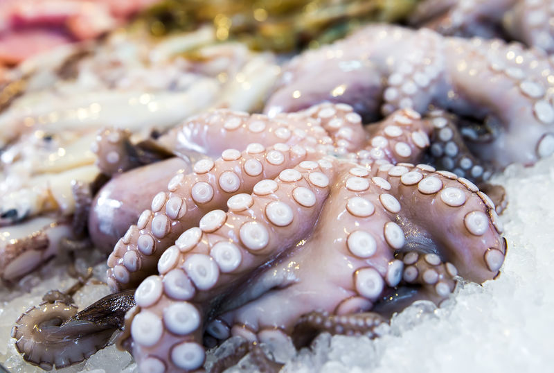 地中海章鱼及其他希腊市场海鲜