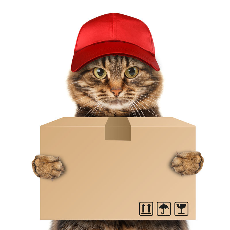 有趣的送猫服务-邮递员送大包裹