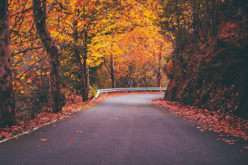 秋季道路
